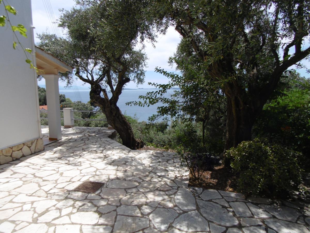 Elli 1 Panoramic View